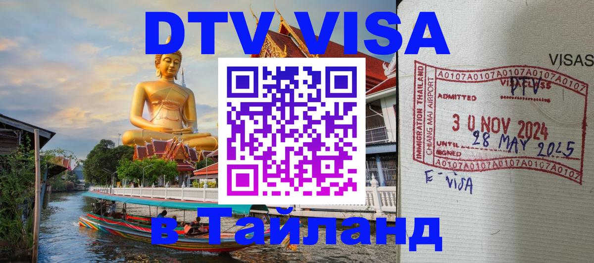 Сколько стоит DTV виза — актуальные цены, оформление даже без документов - 21.11.2025 